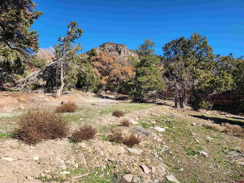 242 Fir Avenue Crawford, CO 81415