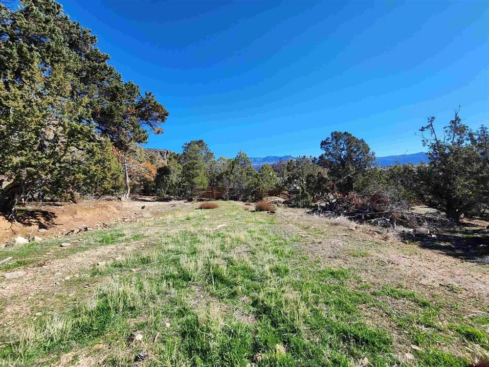 242 Fir Avenue Crawford, CO 81415