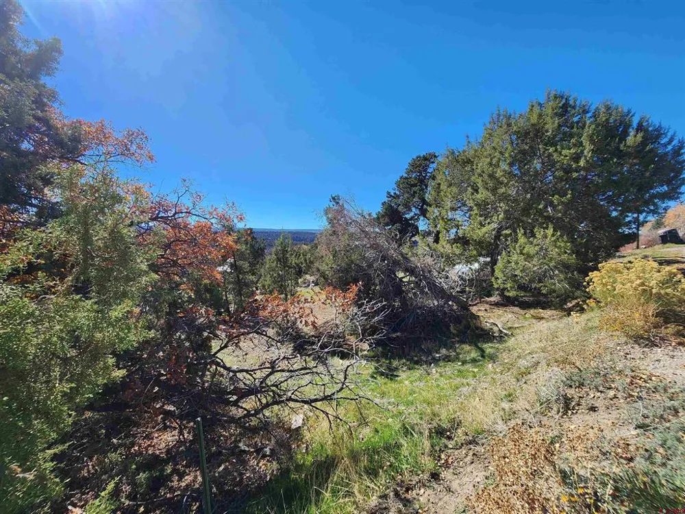 242 Fir Avenue Crawford, CO 81415