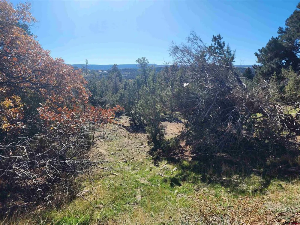 242 Fir Avenue Crawford, CO 81415