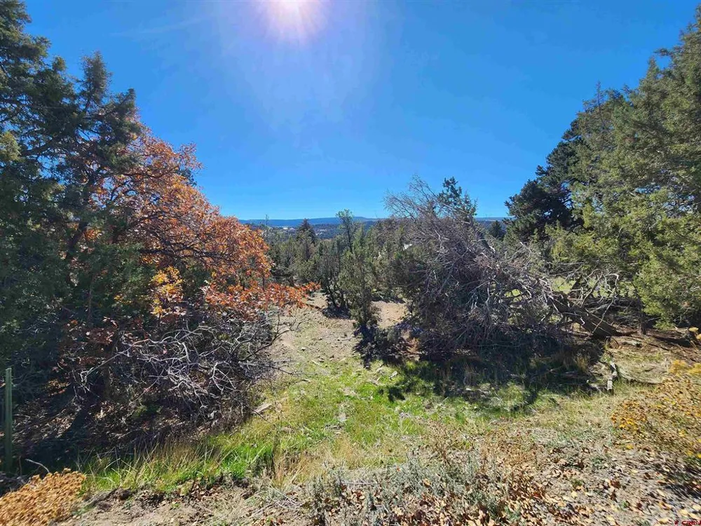 242 Fir Avenue Crawford, CO 81415