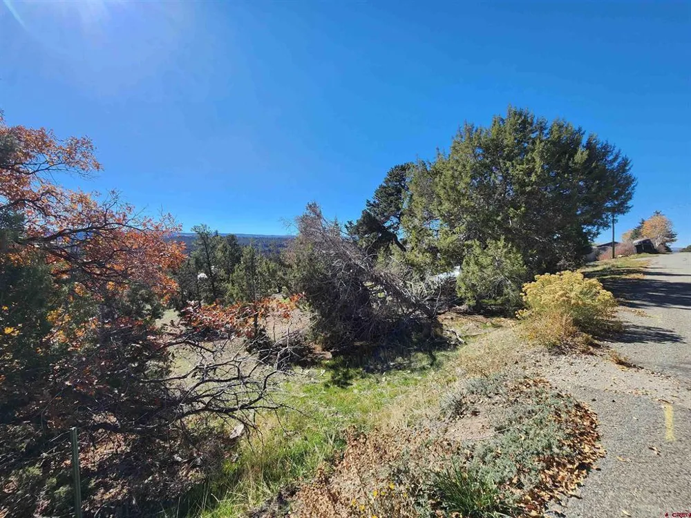 242 Fir Avenue Crawford, CO 81415
