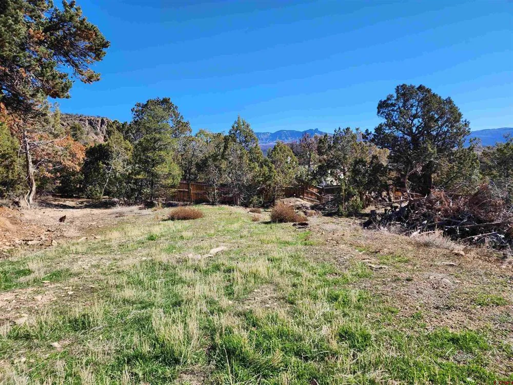 242 Fir Avenue Crawford, CO 81415