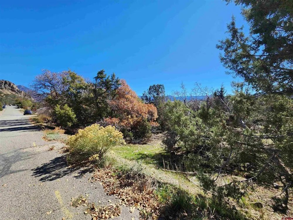 242 Fir Avenue Crawford, CO 81415