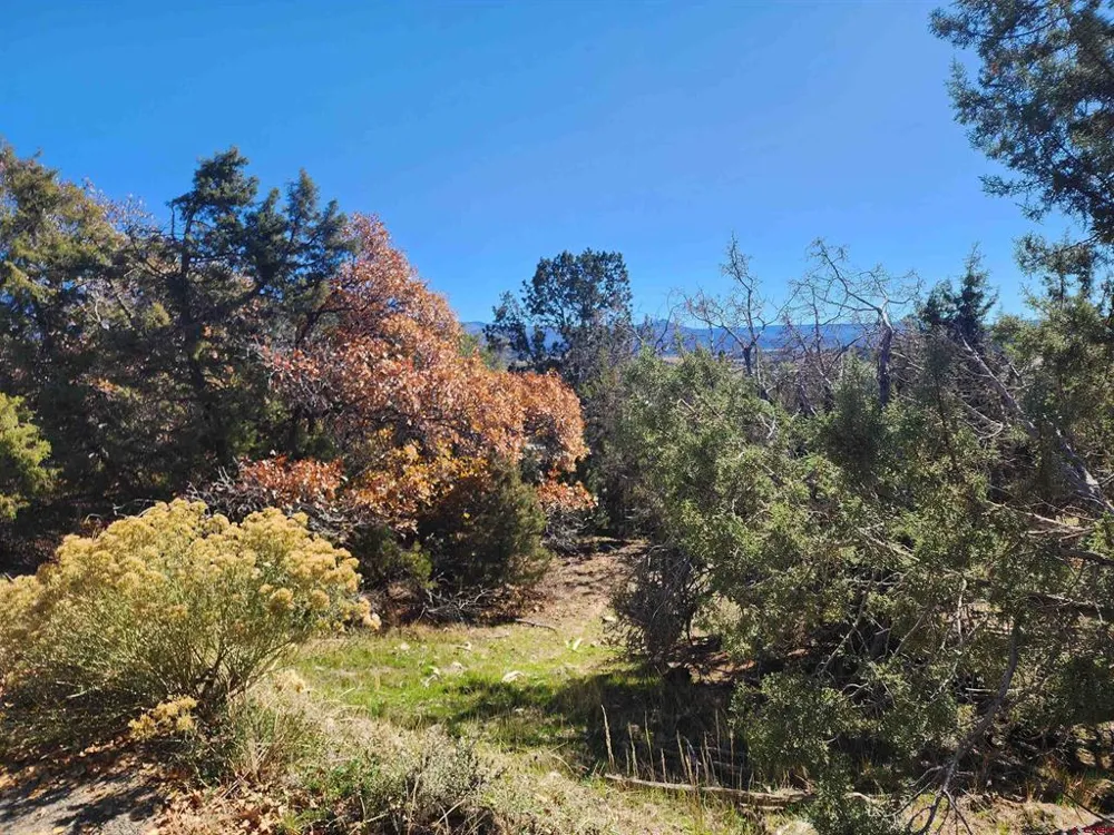 242 Fir Avenue Crawford, CO 81415