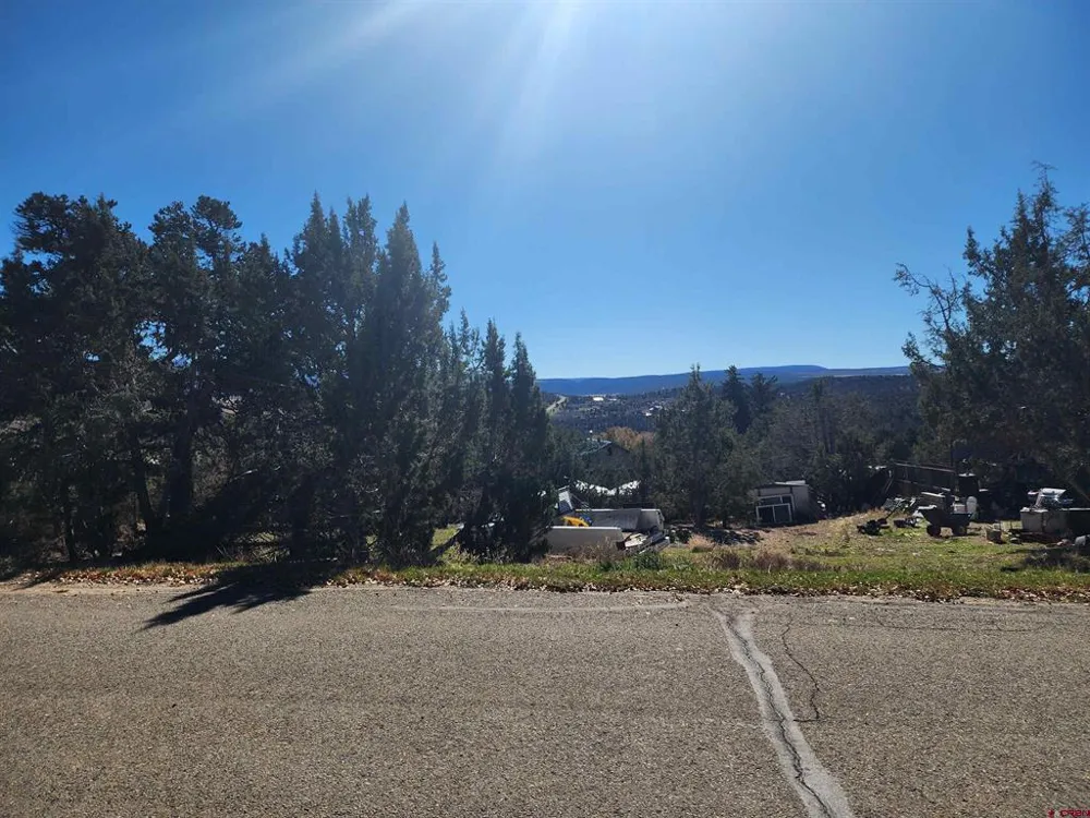 242 Fir Avenue Crawford, CO 81415