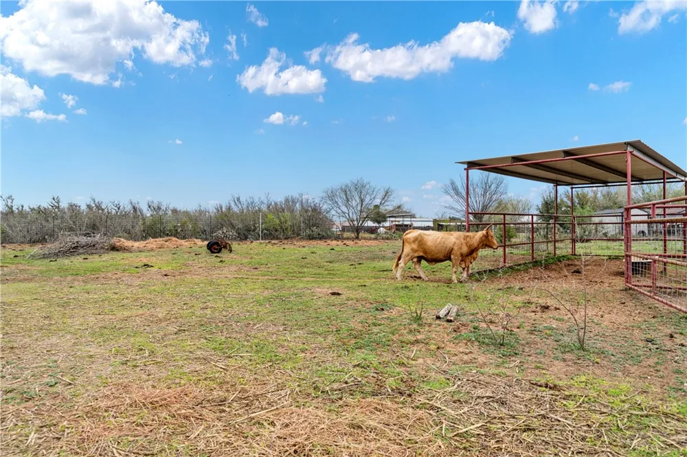 6802 CR 103 San Diego, TX 78384