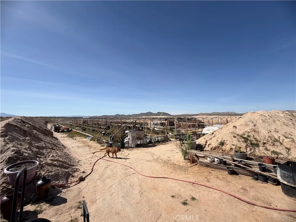 21353 Riverview Hinkley, CA 92347
