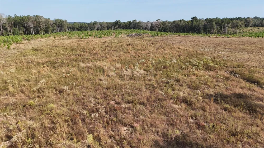 3 Young Road Livingston, TX 77351