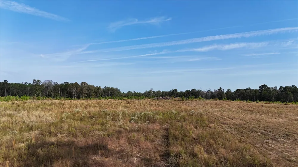 3 Young Road Livingston, TX 77351