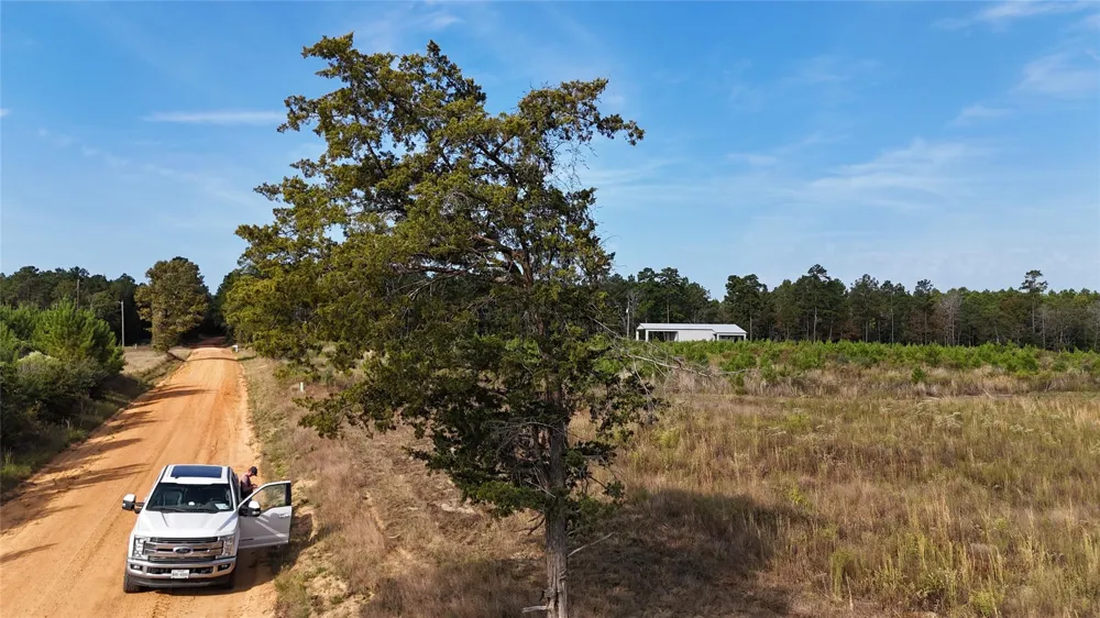 3 Young Road Livingston, TX 77351