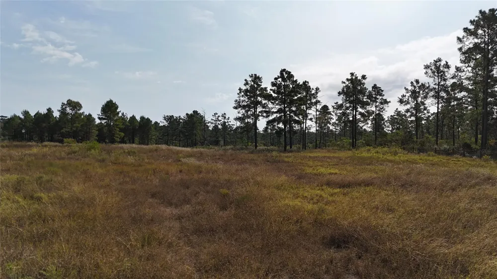 3 Young Road Livingston, TX 77351