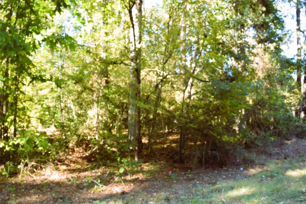 Forester Livingston, TX 77351