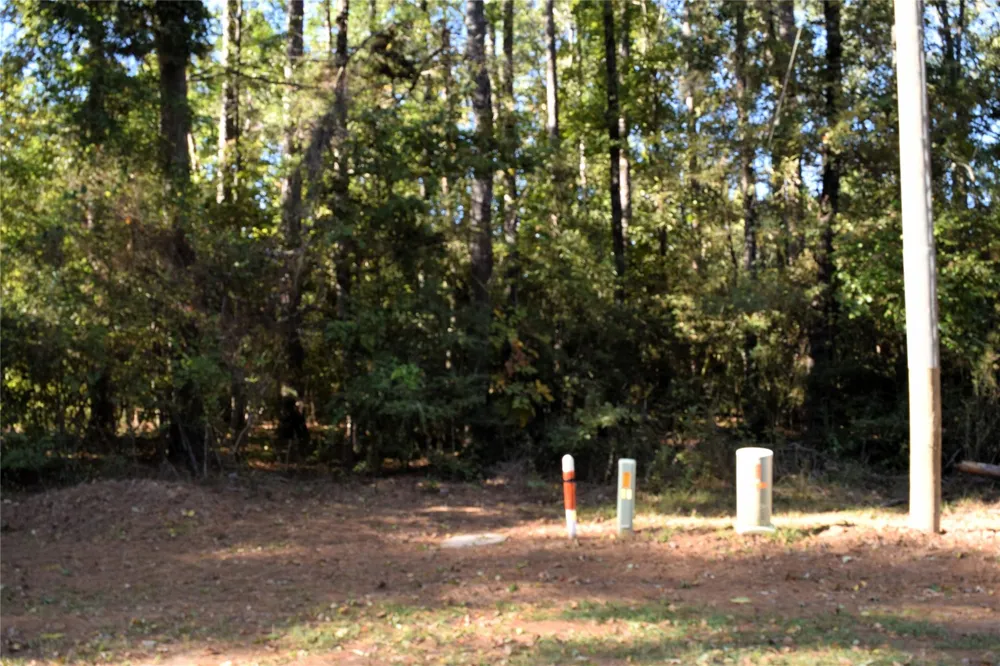 Forester Livingston, TX 77351