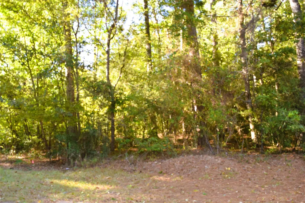 Forester Livingston, TX 77351