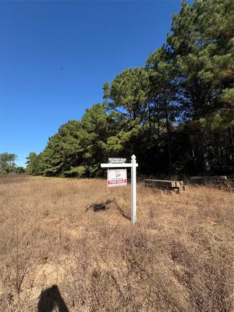 County Road 113