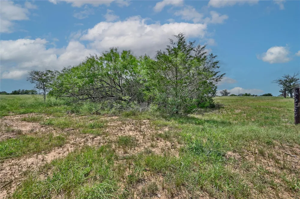 1 New Moon Red Rock, TX 78662