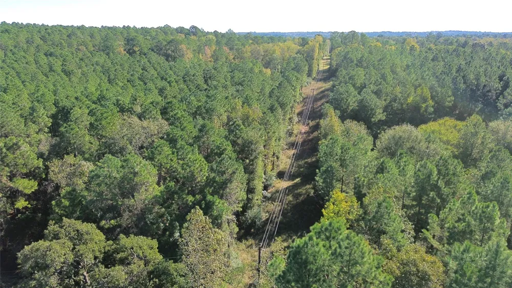 Cr 2265 Grapeland, TX 75844