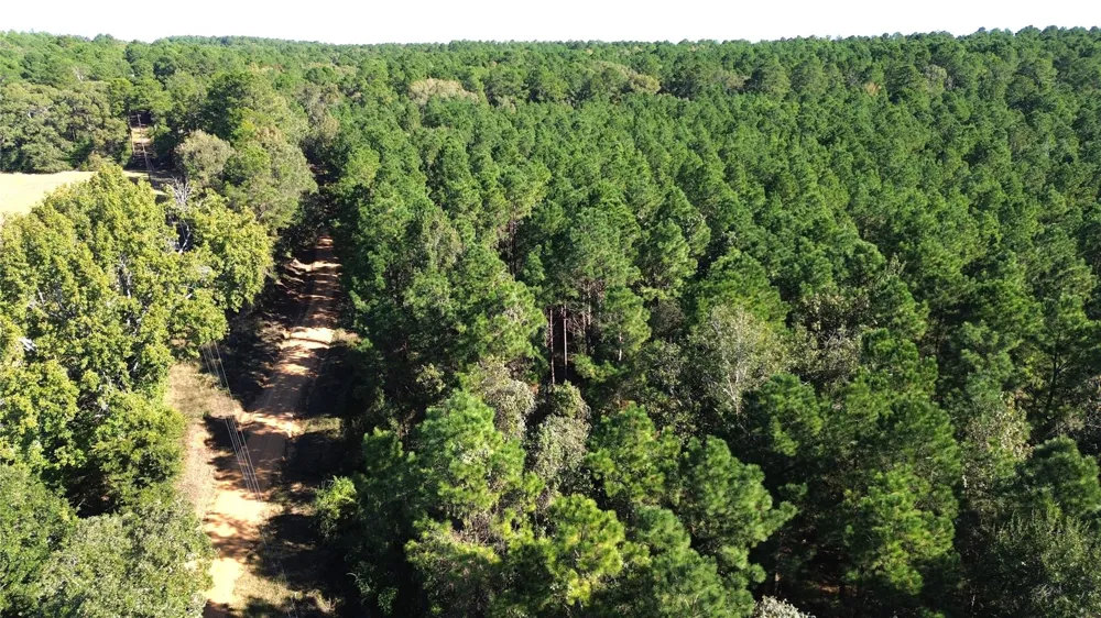Cr 2265 Grapeland, TX 75844