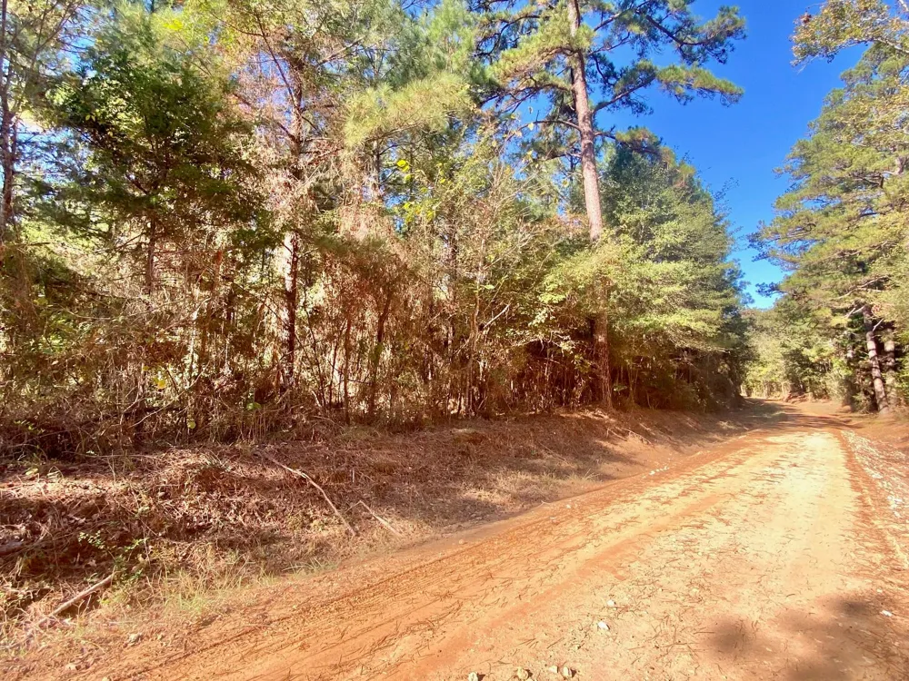Cr 2265 Grapeland, TX 75844