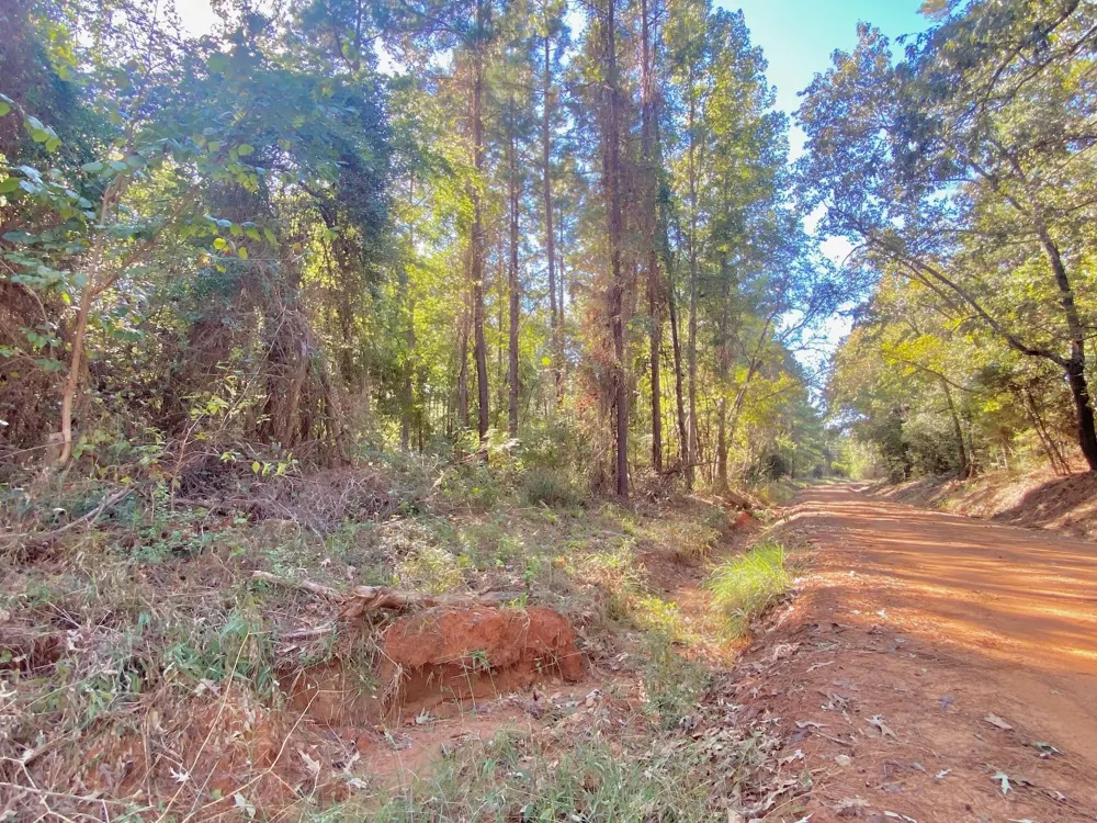 Cr 2265 Grapeland, TX 75844