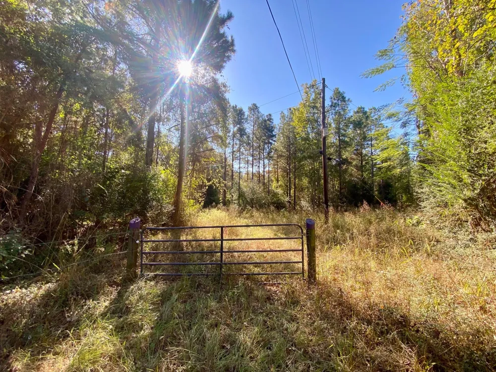 Cr 2265 Grapeland, TX 75844