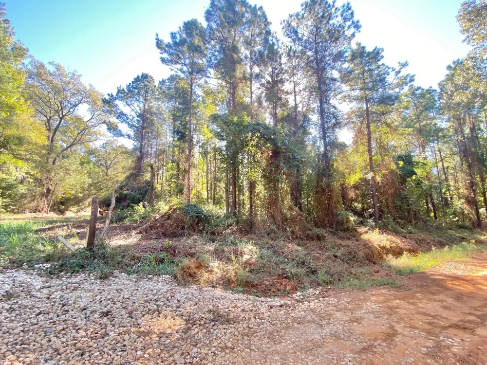 Cr 2265 Grapeland, TX 75844