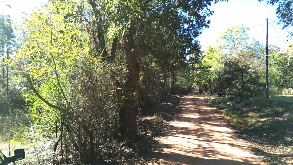 Cr 2265 Grapeland, TX 75844