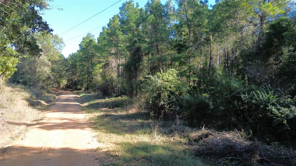 Cr 2265 Grapeland, TX 75844