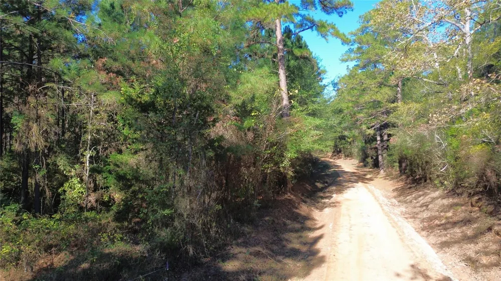 Cr 2265 Grapeland, TX 75844