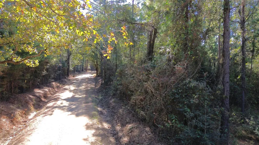Cr 2265 Grapeland, TX 75844