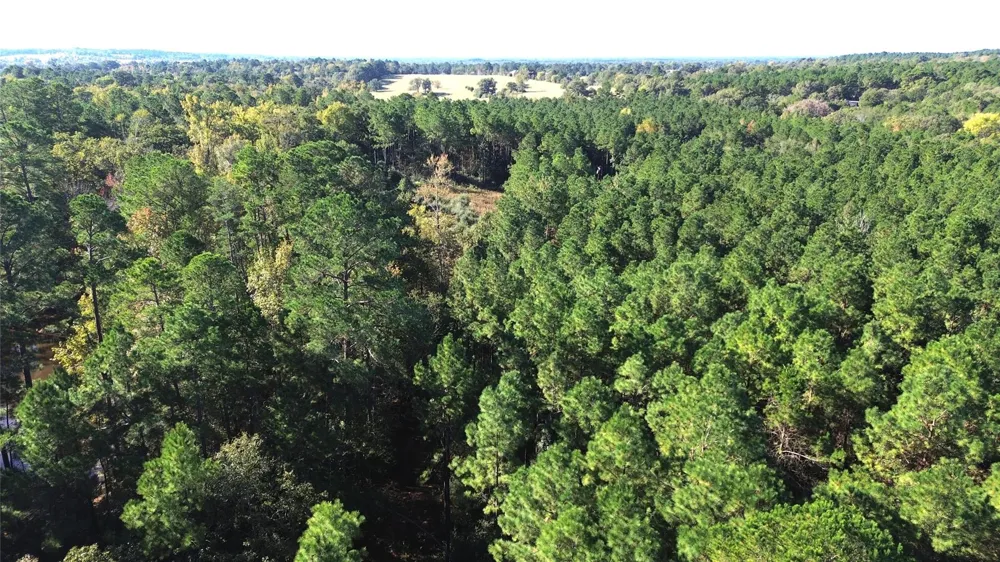 Cr 2265 Grapeland, TX 75844