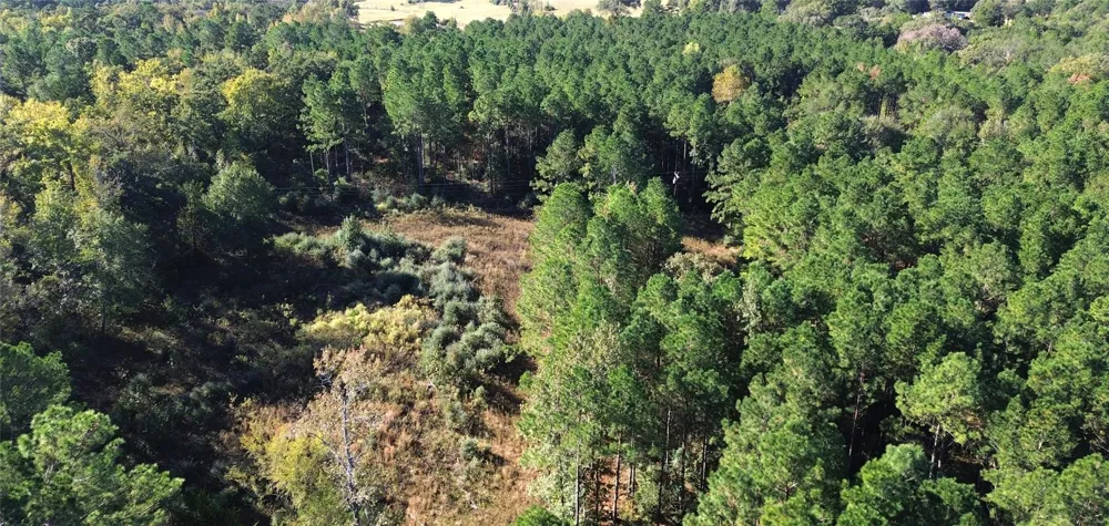 Cr 2265 Grapeland, TX 75844