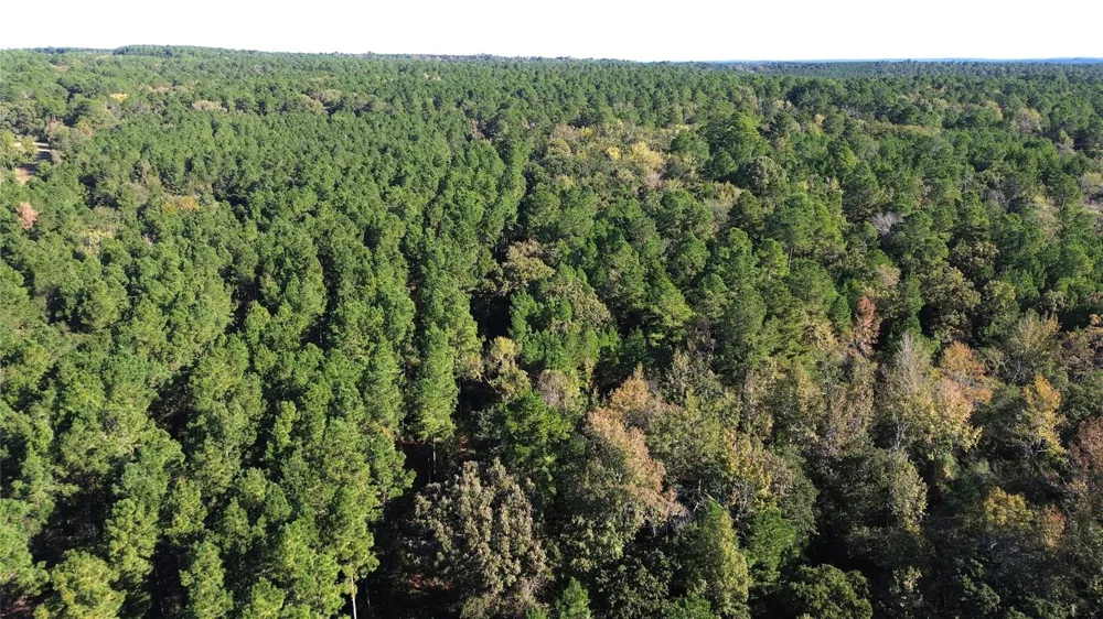 Cr 2265 Grapeland, TX 75844