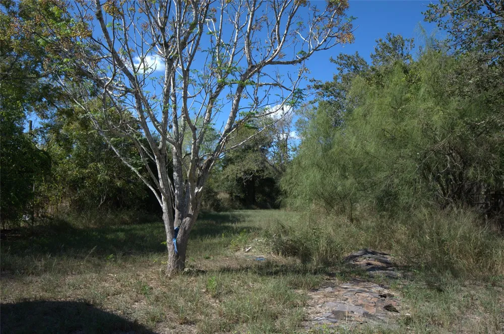 205 E Elliott Street Beeville, TX 78102