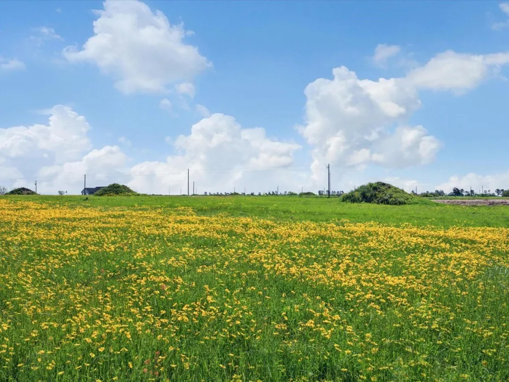 20 328 Rolling Hill Drive Cat Spring, TX 78933