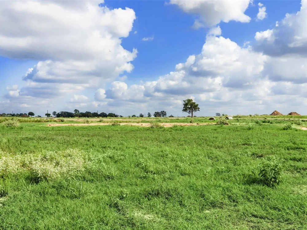 20 328 Rolling Hill Drive Cat Spring, TX 78933