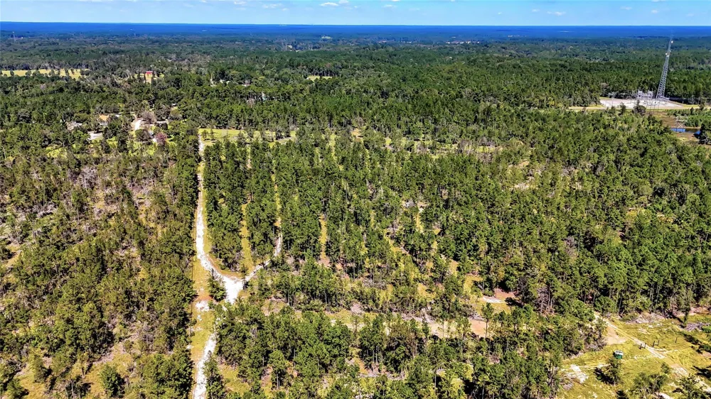 Hwy 287 Corrigan, TX 75939