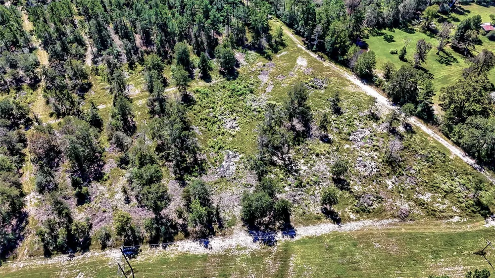 Hwy 287 Corrigan, TX 75939