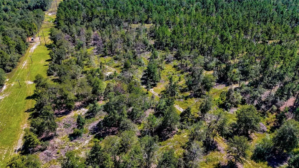 Hwy 287 Corrigan, TX 75939