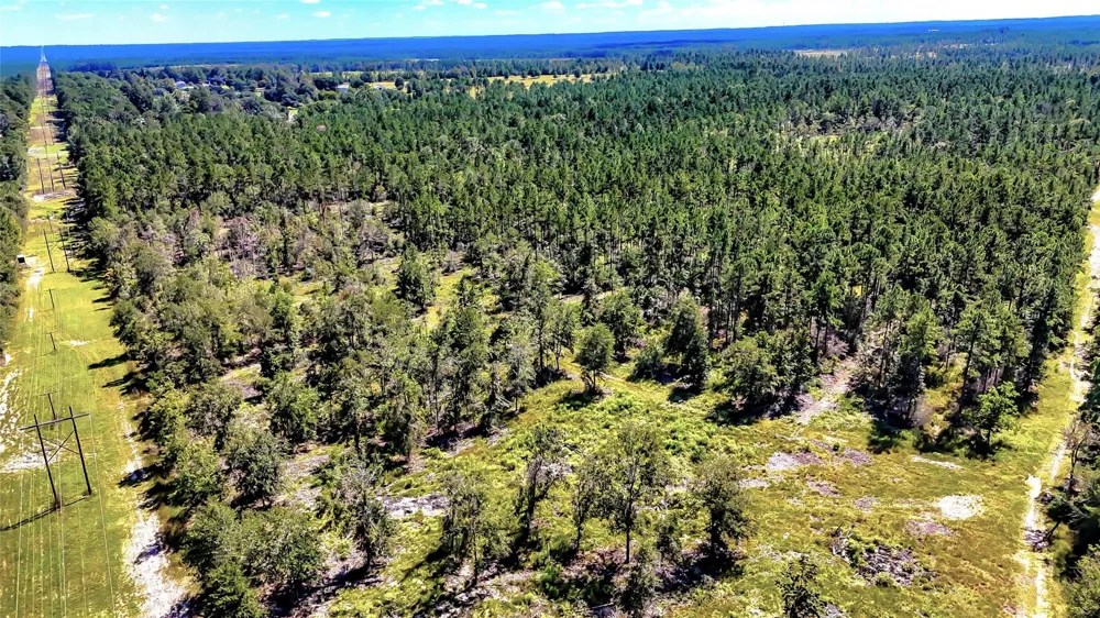 Hwy 287 Corrigan, TX 75939