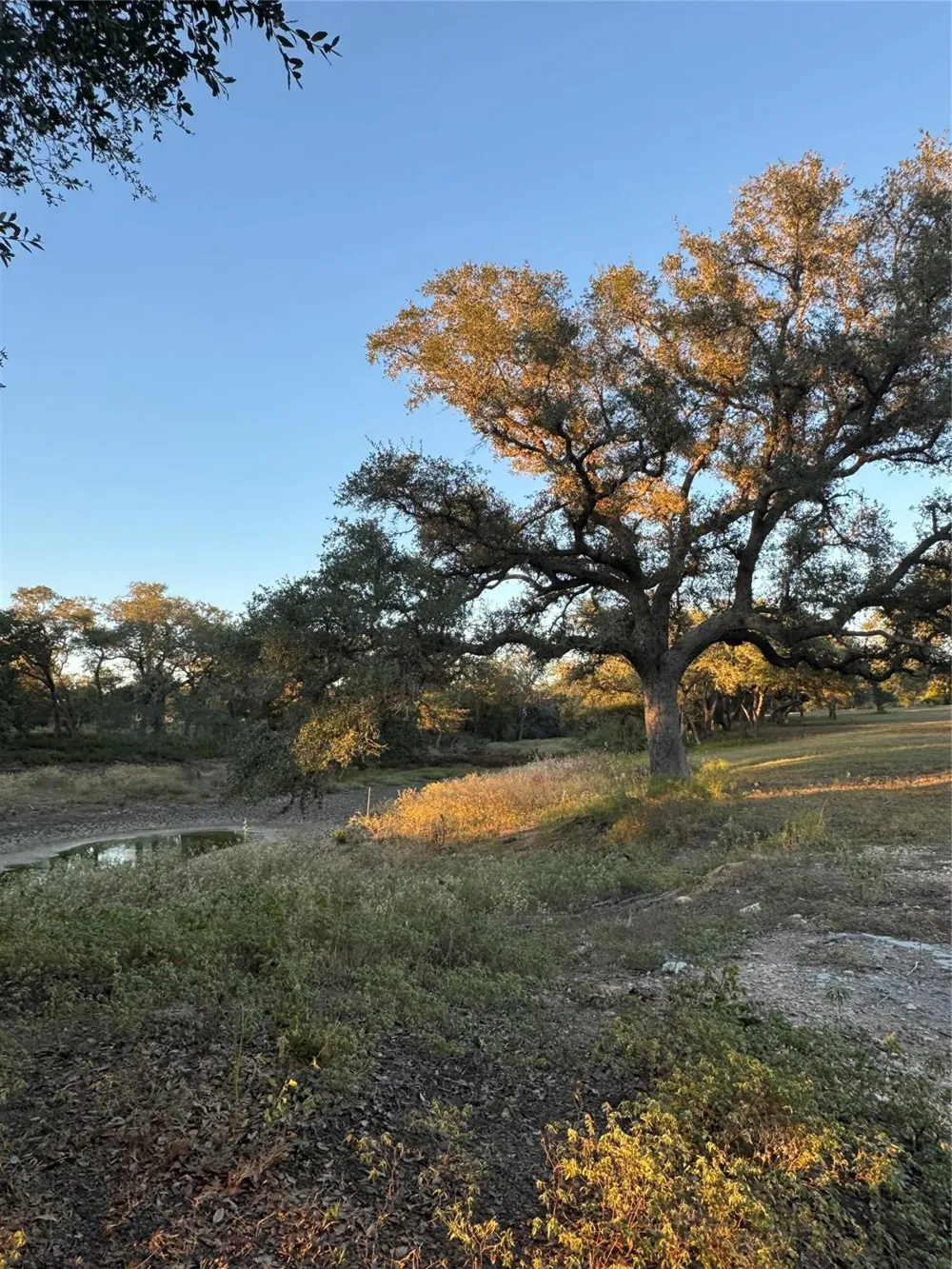 2636 E Fm 532 Schulenburg, TX 78956