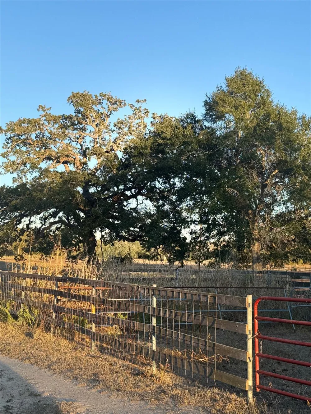 2636 E Fm 532 Schulenburg, TX 78956