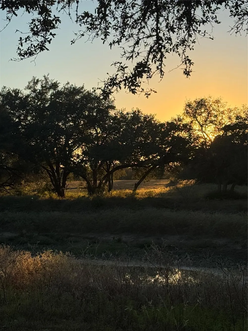 2636 E Fm 532 Schulenburg, TX 78956