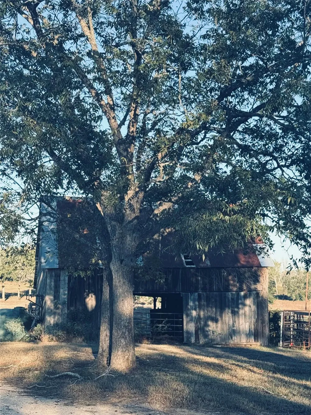 2636 E Fm 532 Schulenburg, TX 78956