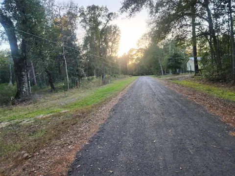 Dottie Ln Lane