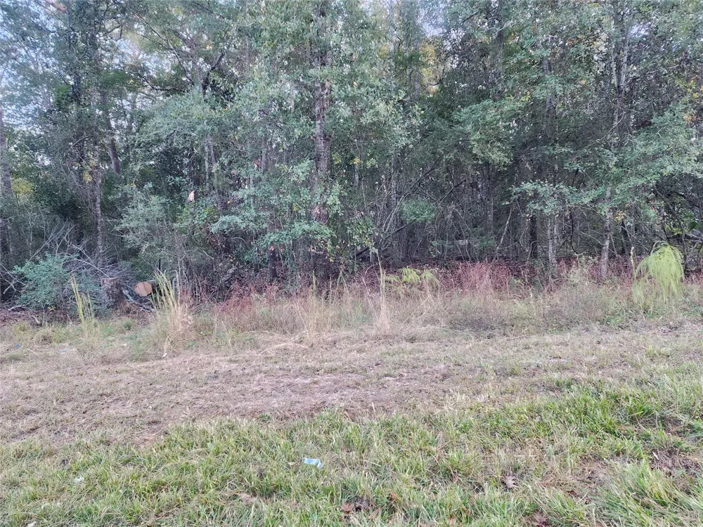 Dottie Ln Lane Shepherd, TX 77371