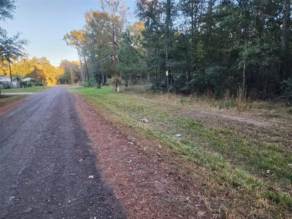 Dottie Ln Lane Shepherd, TX 77371
