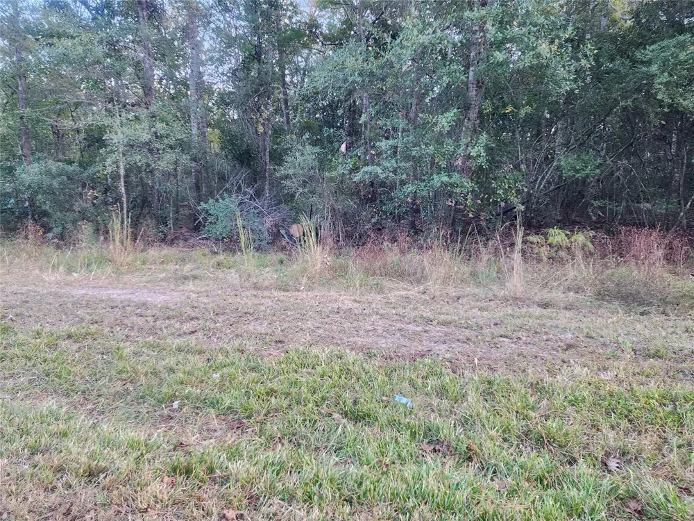Dottie Ln Lane Shepherd, TX 77371