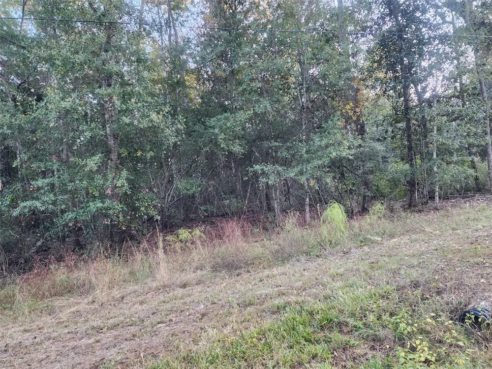 Dottie Ln Lane Shepherd, TX 77371